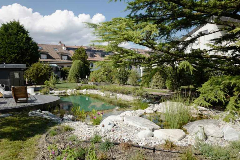 Réaménagement complet d’un jardin