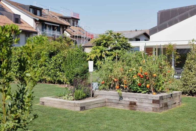 Réaménagement complet d’un jardin