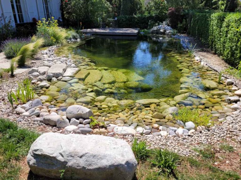 Baignade naturelle