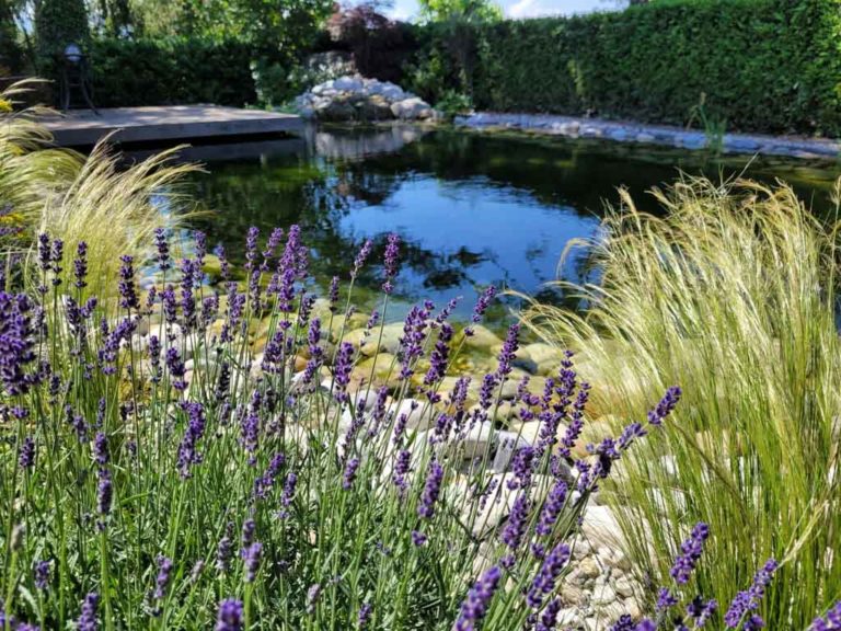 Baignade naturelle